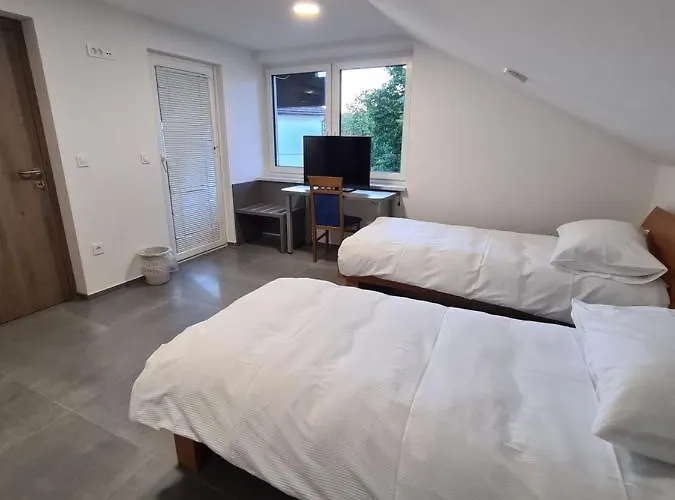 게스트하우스 Gostisce Pri Rudiju Salovci